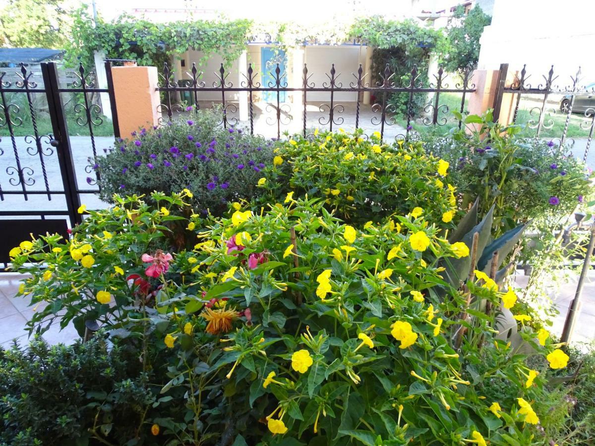 Socrates Apartments โอลิมเปียกี อักติ ภายนอก รูปภาพ